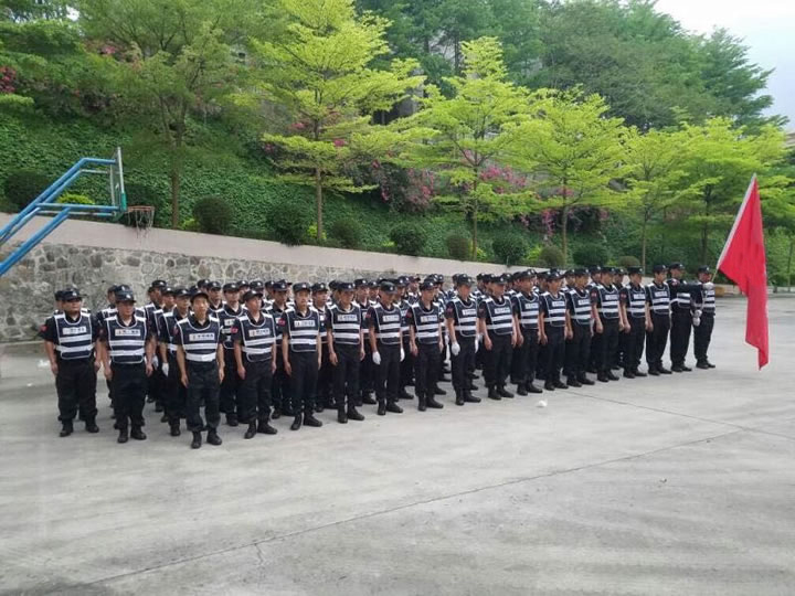 樂(lè)從執(zhí)法隊(duì)