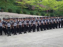 樂從執(zhí)法隊